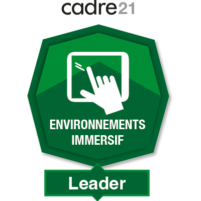 Environnements immersifs 4 - Leader