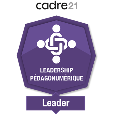 Leadership pédagonumérique 4 - Leader