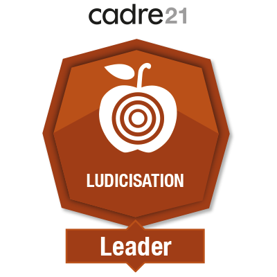 Ludicisation 4 - Leader