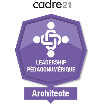 Leadership pédagonumérique 2 - Architecte