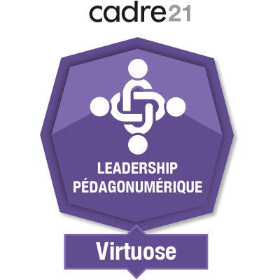 Leadership pédagonumérique 3 - Virtuose