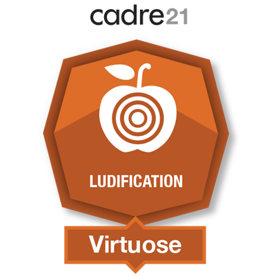 Ludification 3 - Virtuose