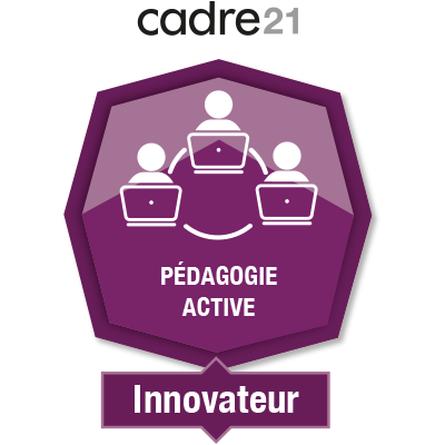 Pédagogie active en FAD 4 - Innovateur